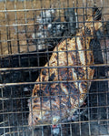 Catfish Fillet (Poisson Braise)
