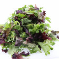 Organic Spring Mix 16 oz
