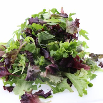 Organic Spring Mix 16 oz