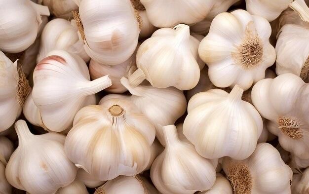 Garlic 3 ct