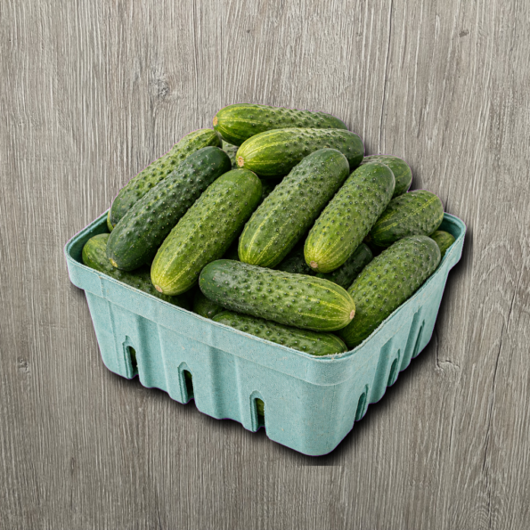 Organic Mini Cucumbers 1 lb