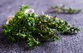 Fresh Thyme 0.5 oz