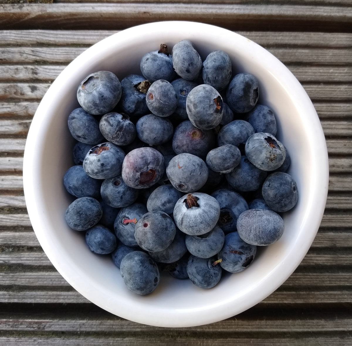 Blueberries 11 oz