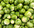 Brussels Sprouts 1 lb