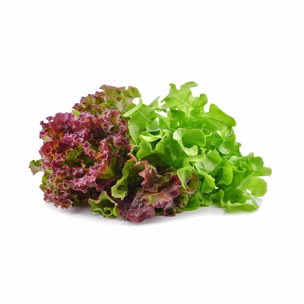 Artisan Lettuce