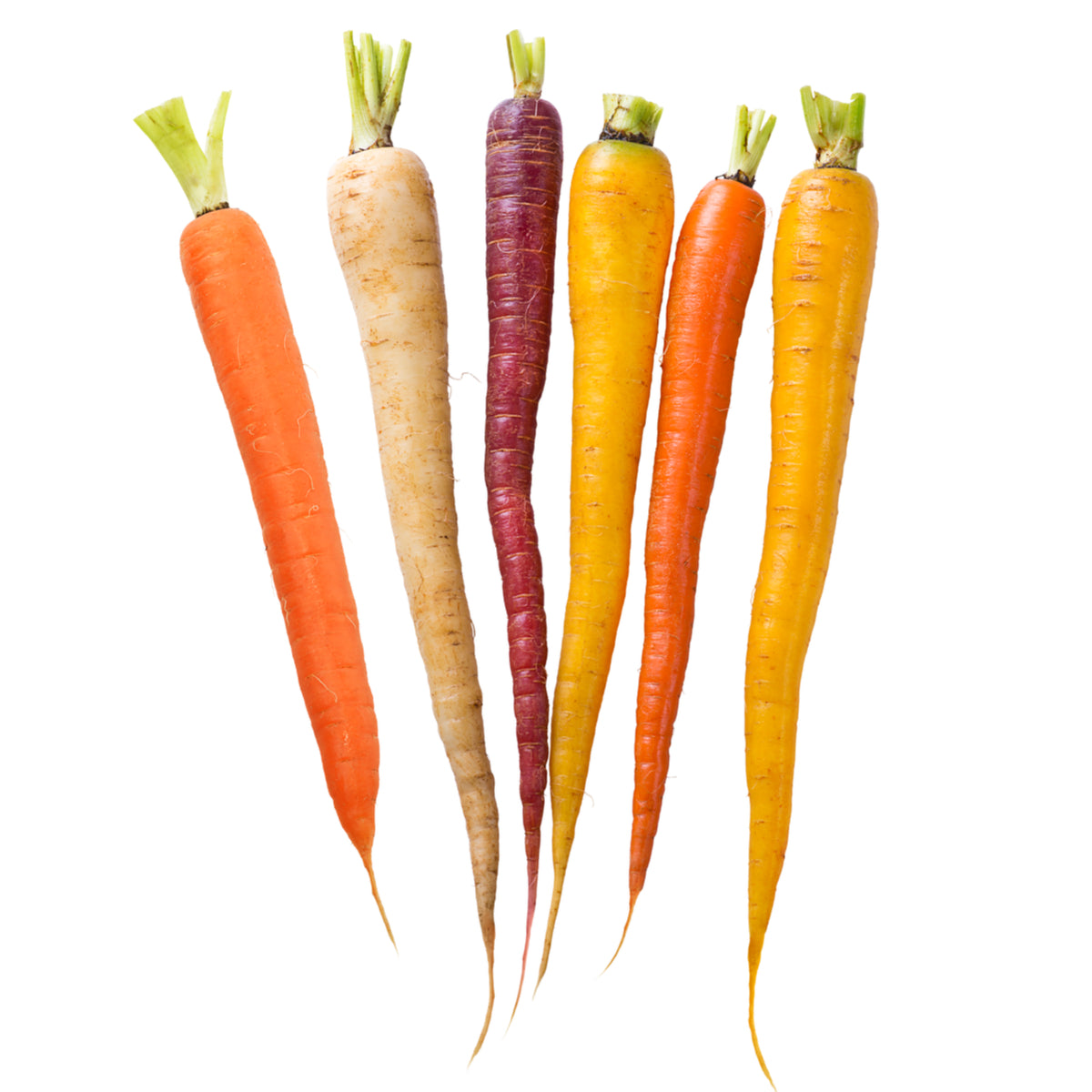 Gourmet Mixed Baby Carrots 12 oz