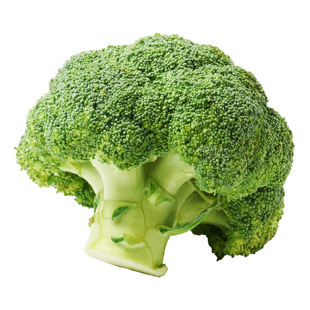 Broccoli Crowns 1 Head