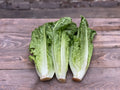 Organic Romaine Hearts 3 lb