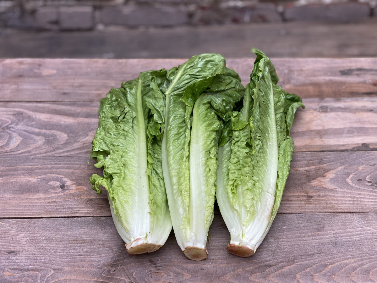 Organic Romaine Hearts 3 lb