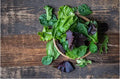 Spring Mix 5 oz