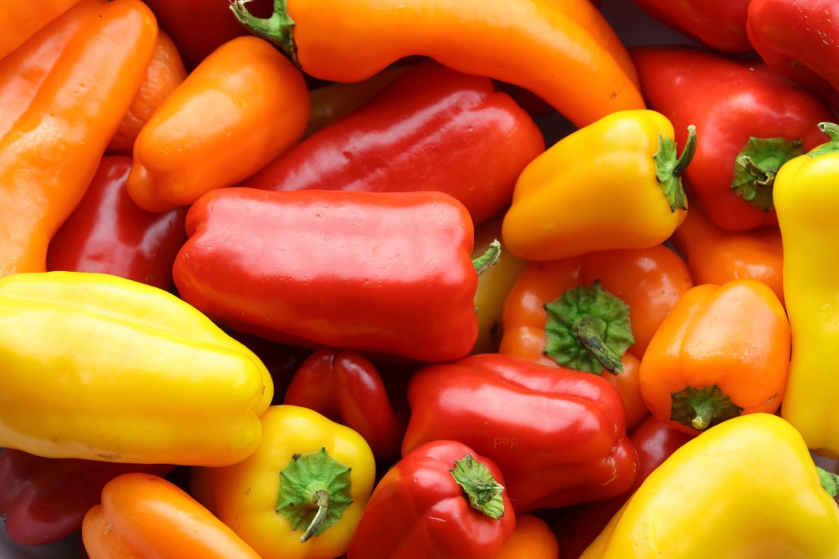 Mini Sweet Peppers 1 lb