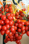 Cherub Grape Tomatoes 10 oz