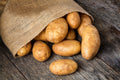 Russet Potatoes 10 lb