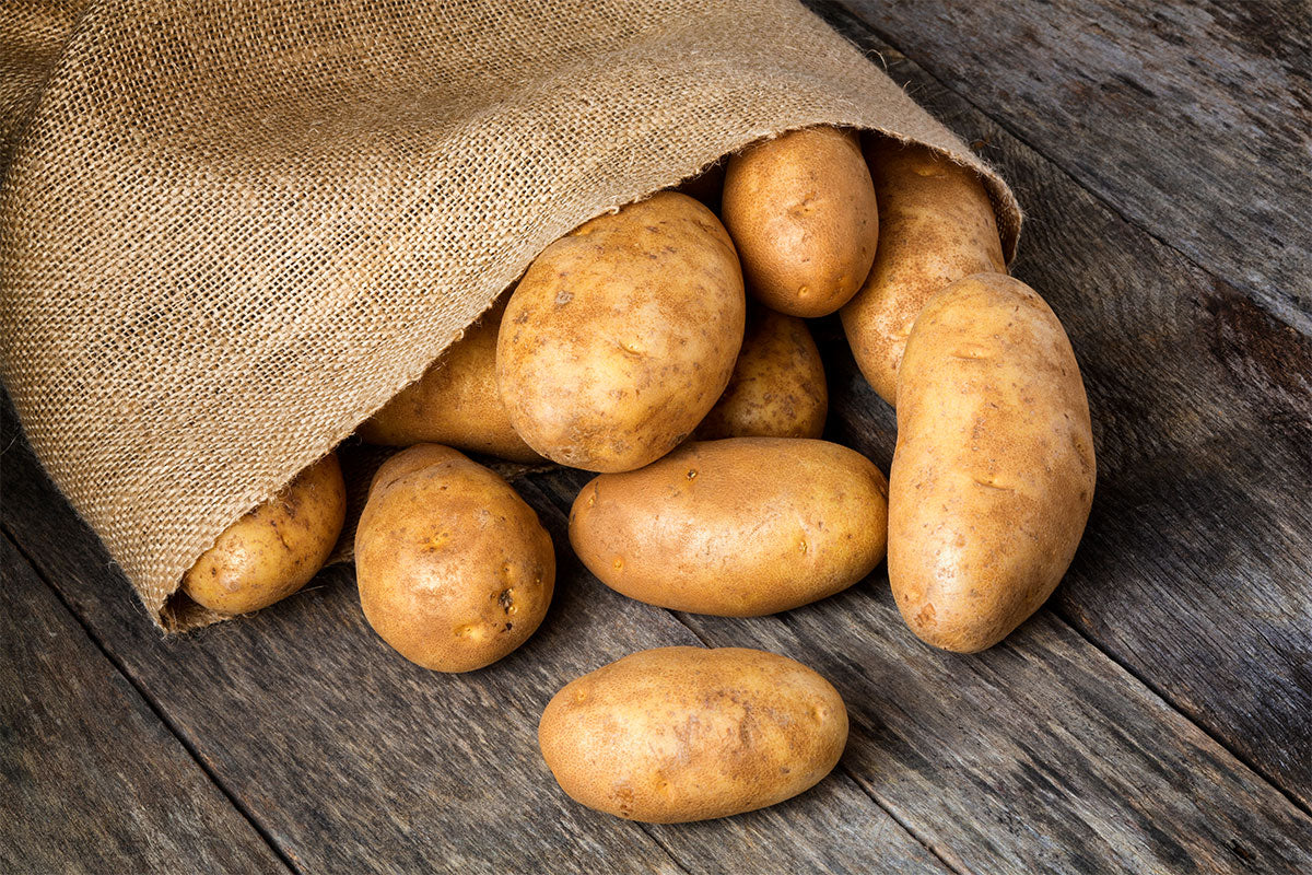 Russet Potatoes 10 lb