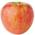 Honeycrisp Apples 2 lb