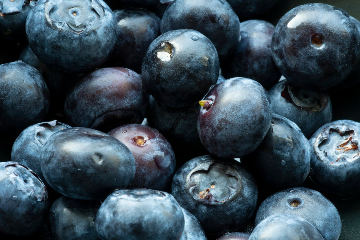 Jumbo Blueberries