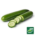 Seedless Cucumber