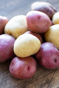 Red & Yellow Potatoes 1.5 lb
