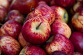Apples (per lb)