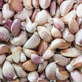 Peeled Garlic 6 oz