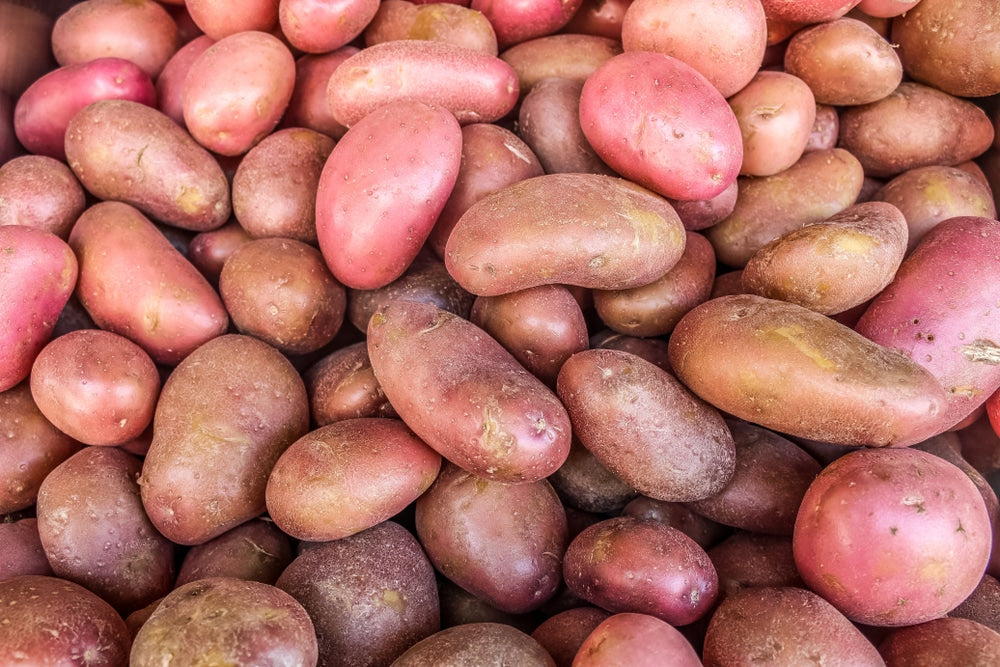 Red Potatoes 5 lb