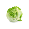 Iceberg Lettuce 1 Head