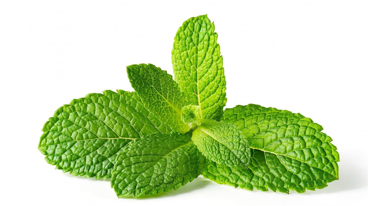 Garden Fresh Mint 0.5 oz