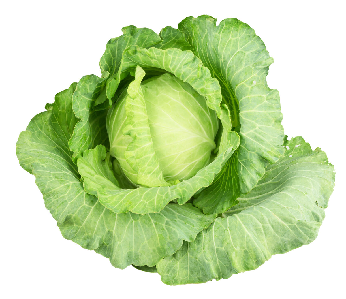 Cabbage (per lb)