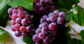Red Grapes (per lb)