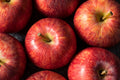 Organic Gala Apples 3 lb