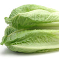 Romaine Lettuce Hearts 3 ct