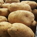 Baking Potatoes 5 lb