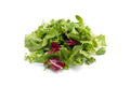 Organic Mixed Greens 5 oz