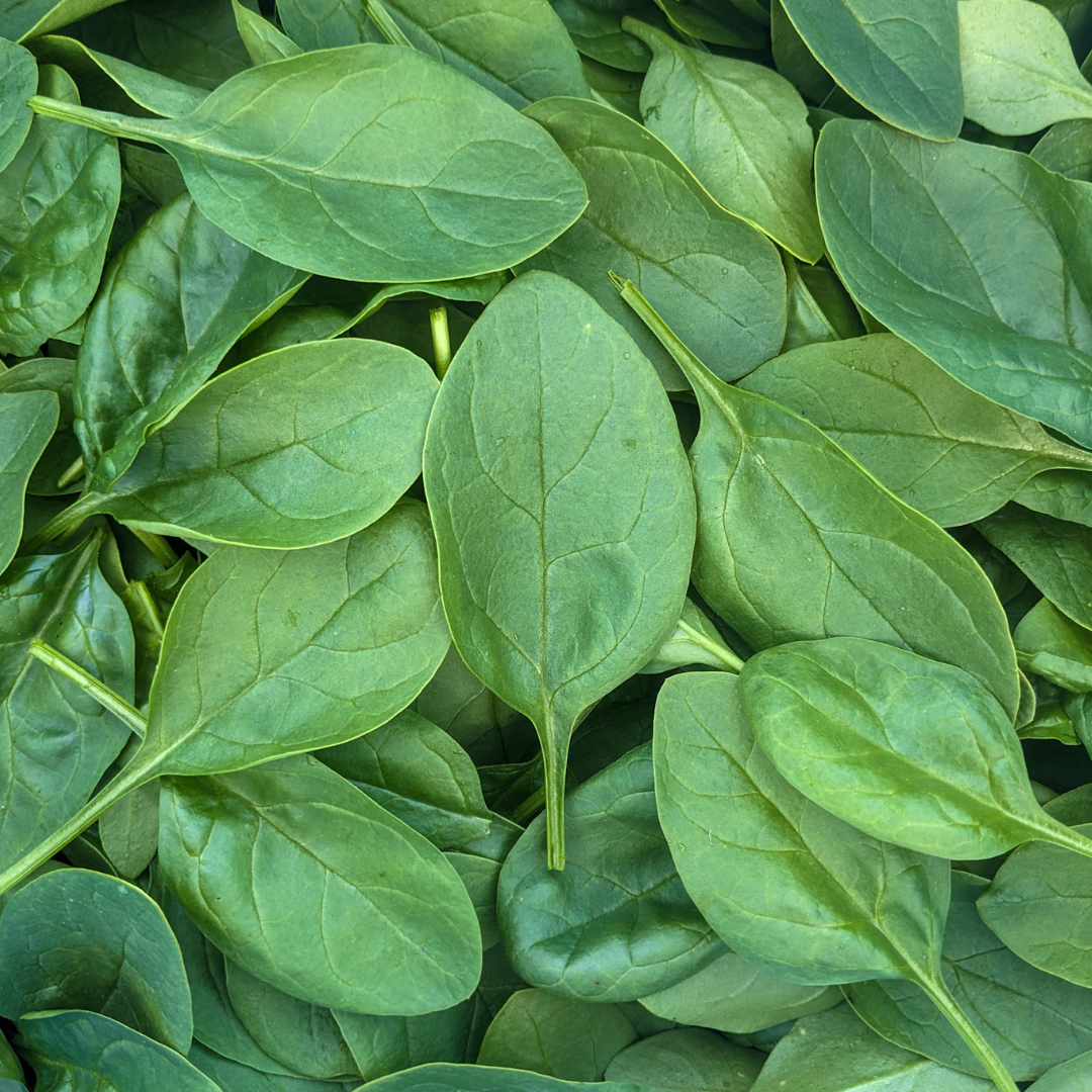 Spinach 8 oz