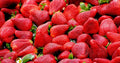 Organic Strawberries 1 lb